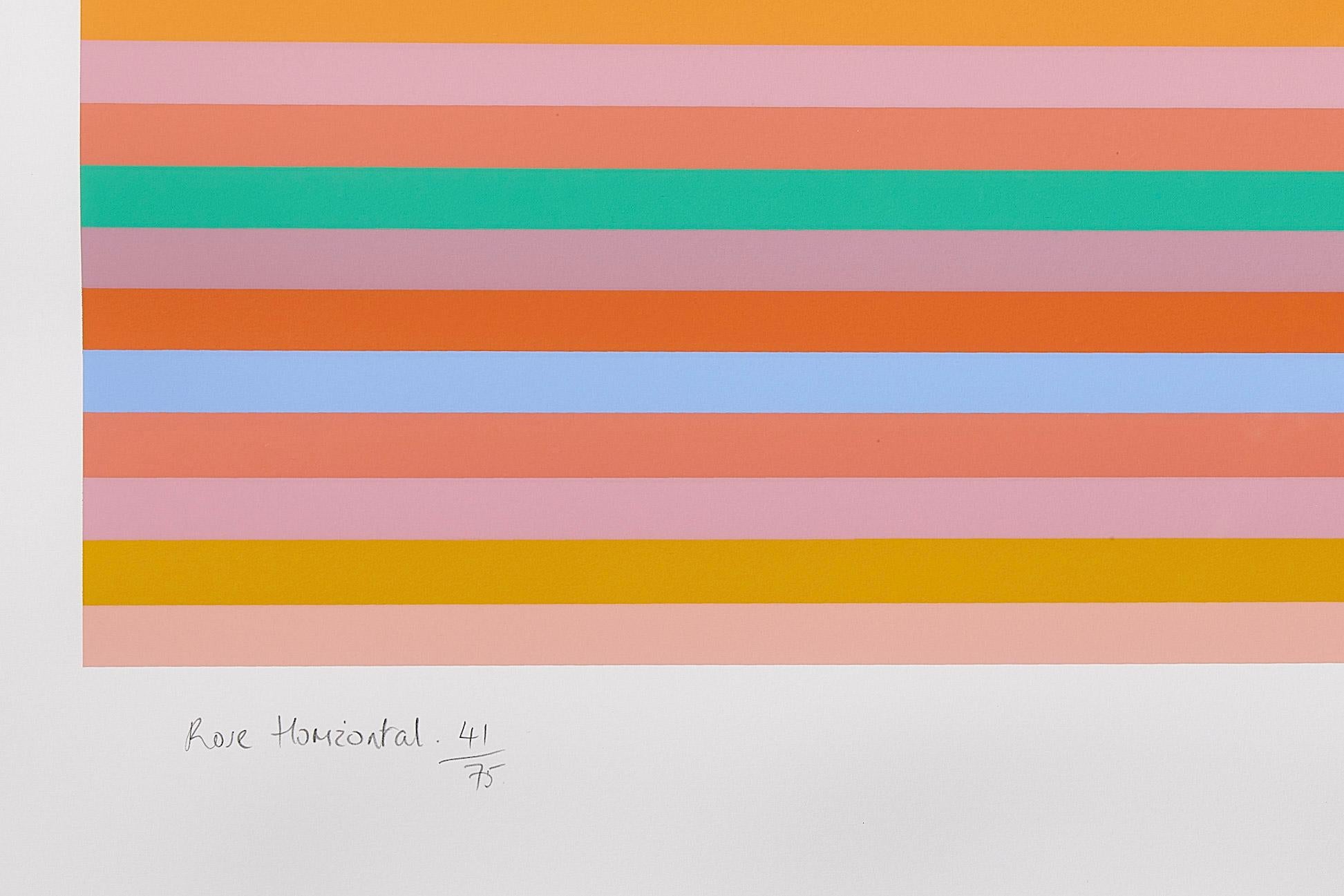 Rose Horizontal -- Screen Print, Stripes, Patterns, Op Art by Bridget Riley For Sale 1