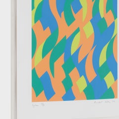 Sylvan  Bridget Riley Abstract bright pattern fragment screenprint signed