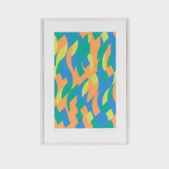 Sylvan  Bridget Riley Abstract bright pattern fragment screenprint signed