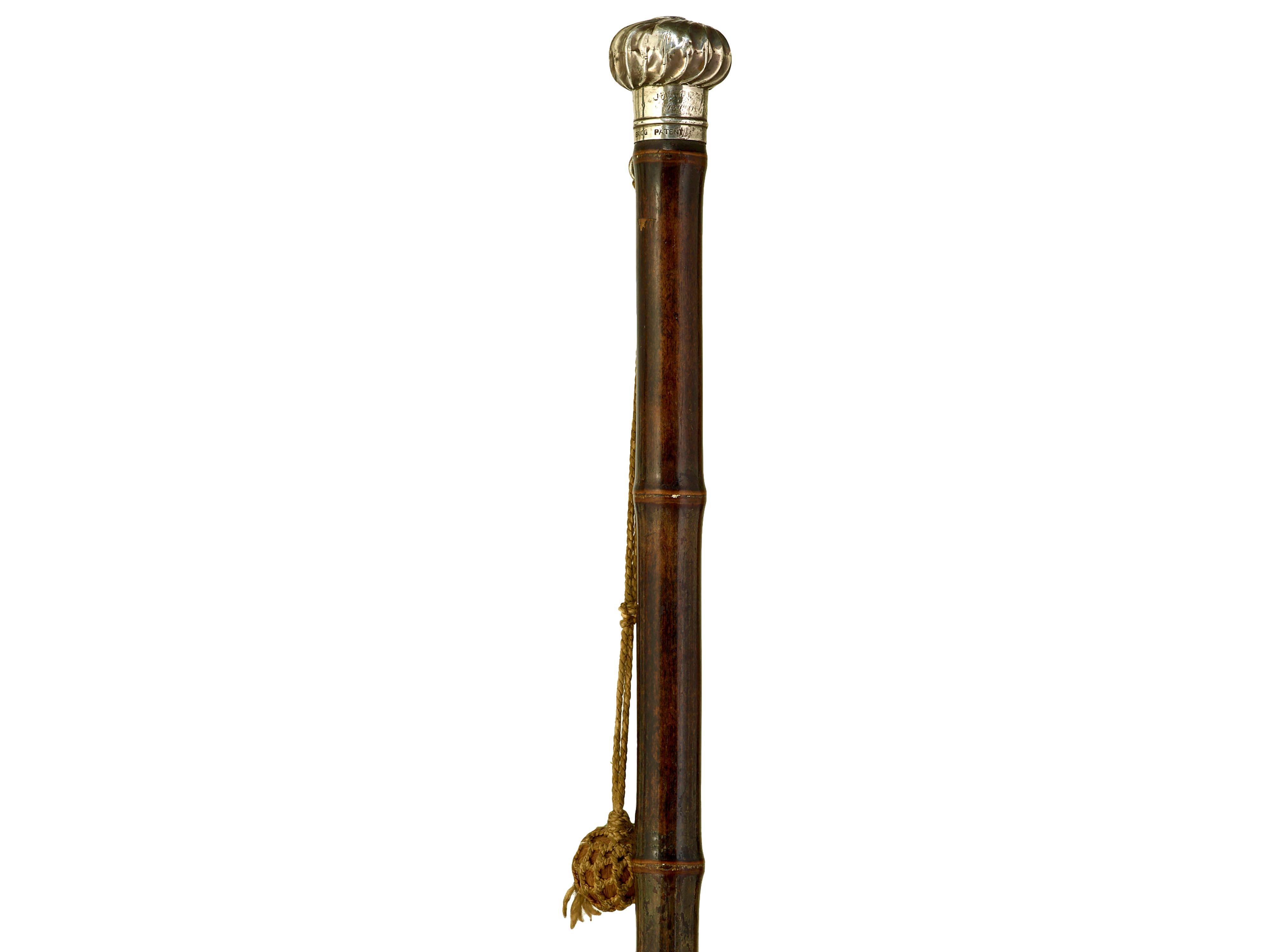 walking stick with spring