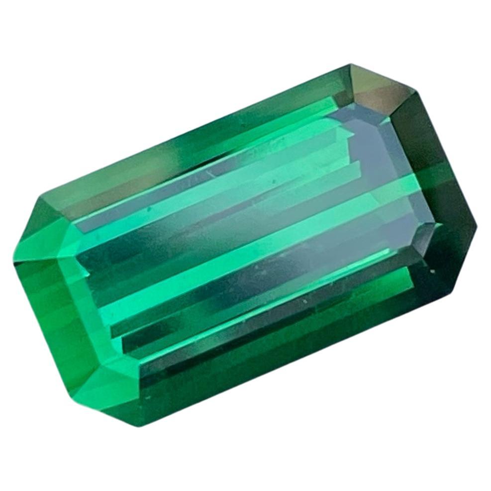 Tourmaline d'Afghanistan verte brillante pierre précieuse de 8,90 carats de qualité supérieure en vente