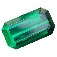 Tourmaline d'Afghanistan verte brillante pierre précieuse de 8,90 carats de qualité supérieure