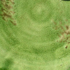 Bright Green Glazed Ceramic Serving Dish with Braided Handles