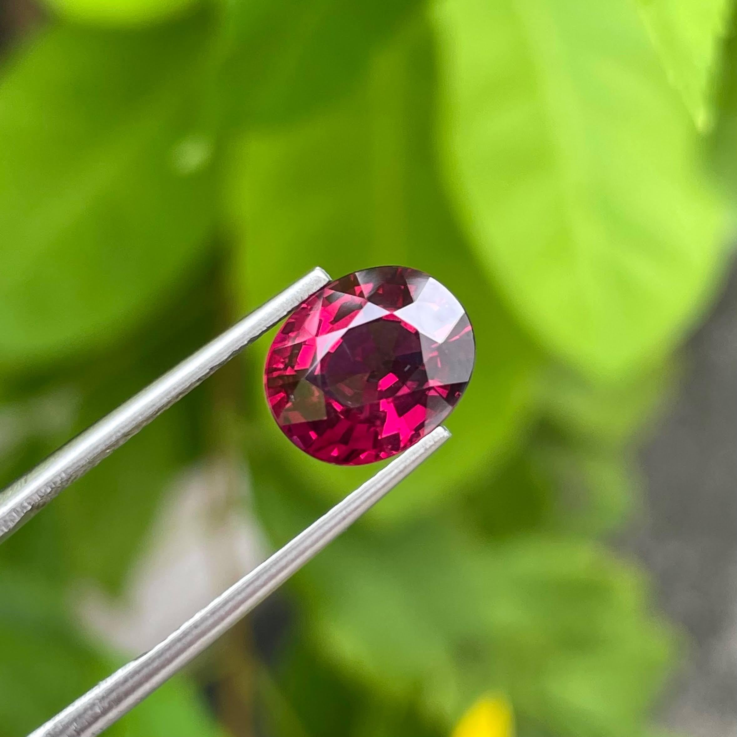 garnet ovası