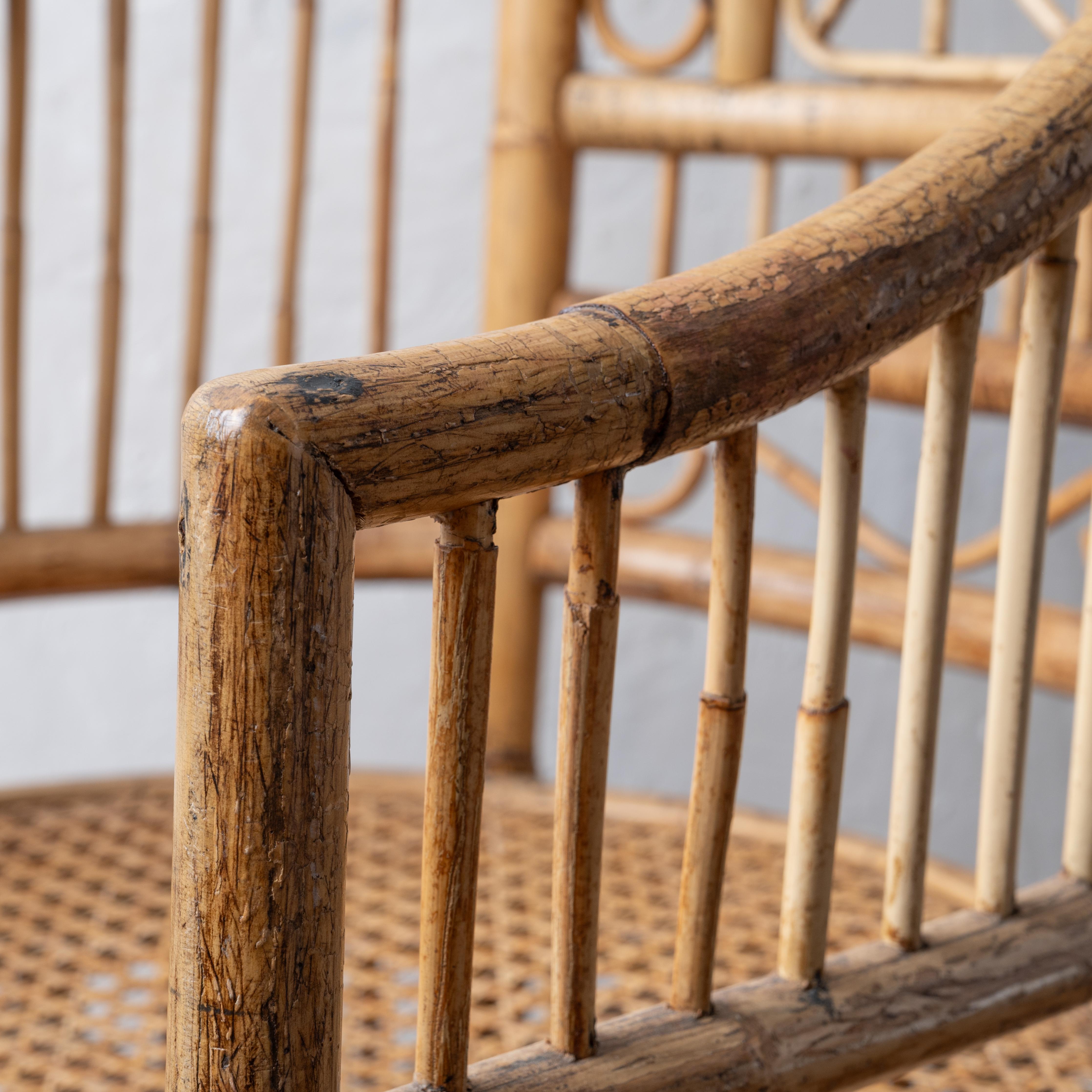 Silla Brighton de bambú en venta 3