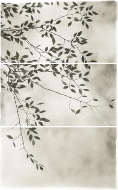 Brigitte Carnochan, Late Leaves III, Platinum palladium print, 2012
