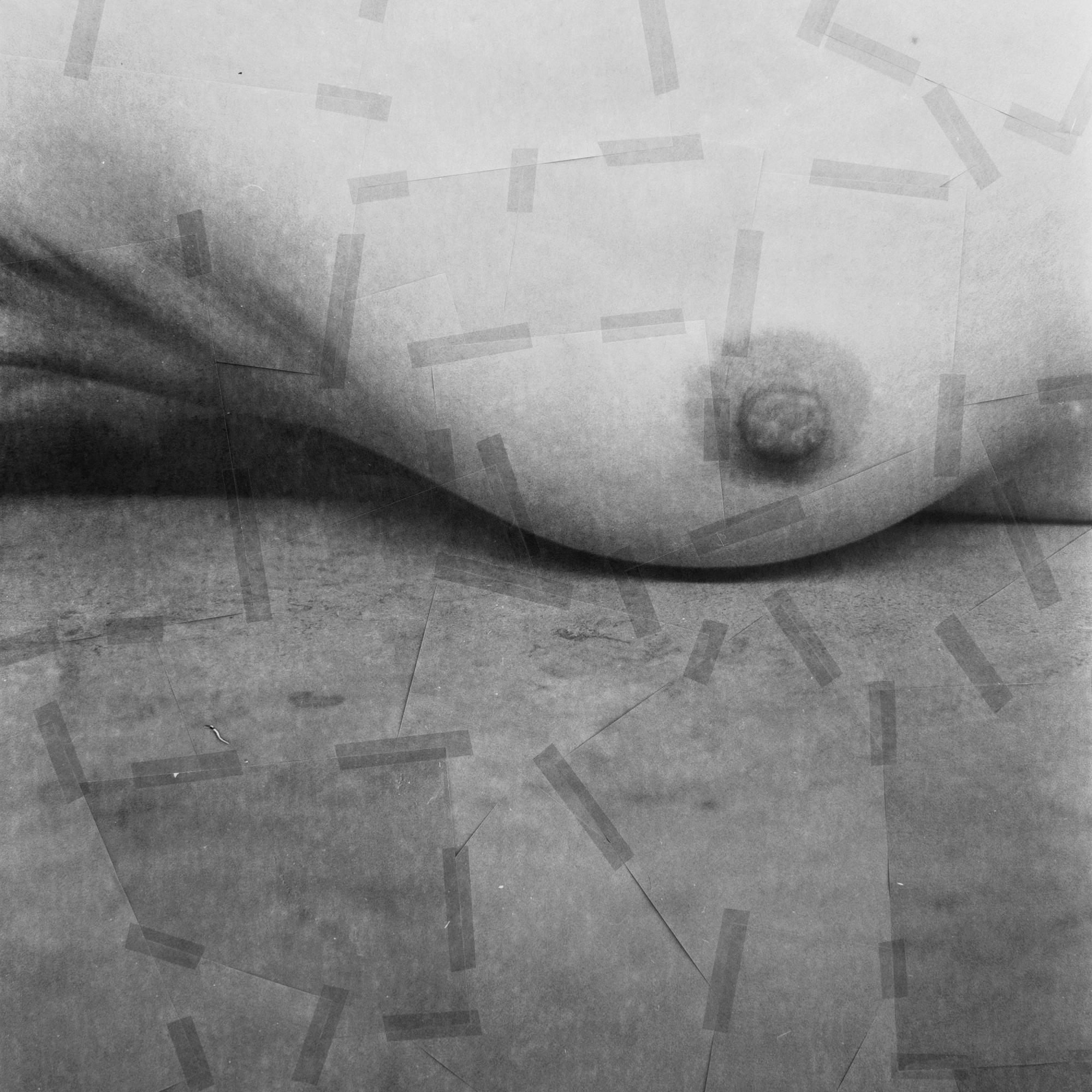 A Gaze of One’s Own, Collage – Brigitte Lustenberger, Collage, Body, Woman, Nude For Sale 1
