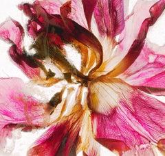 Almeno posso fidarmi della confusione - Brigitte Lustenberger, Fiore