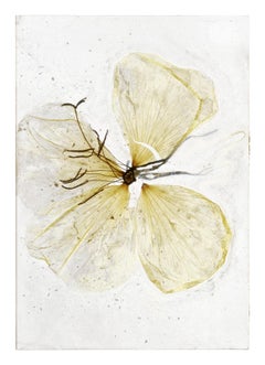 I wonder if it hurts – Brigitte Lustenberger, Flower, Still Life, Colors, Nature