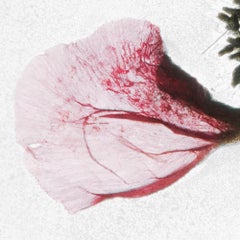 Tra due preziose fantasie - Brigitte Lustenberger, Fiore, Natura morta