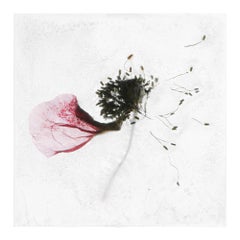 Tra due preziose fantasie - Brigitte Lustenberger, Fiore, Natura morta