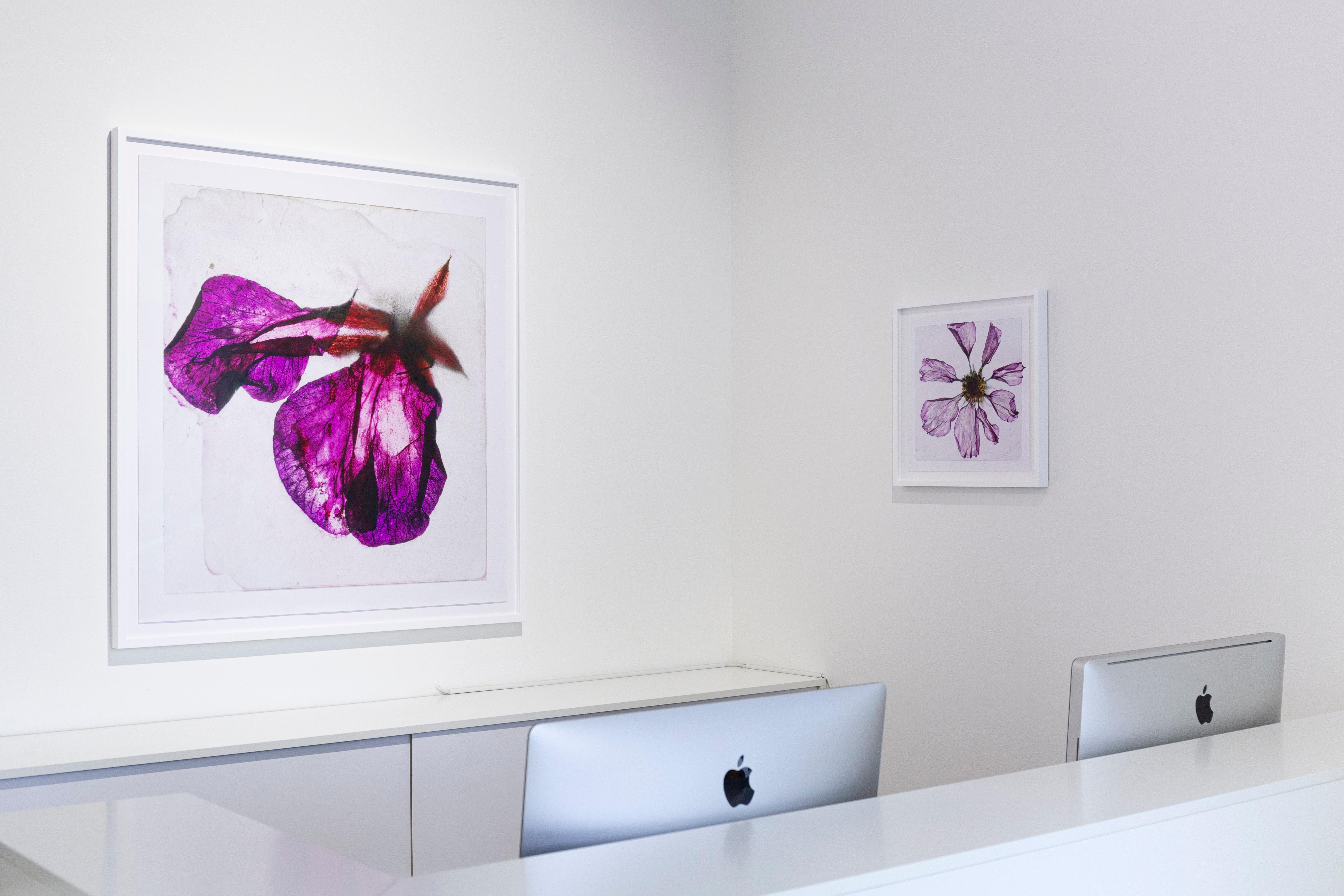 Brigitte Lustenberger, Blumen, Stillleben, Kunst, Licht, Dämmerung im Angebot 8