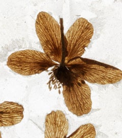 Este Tipo De Promesa - Brigitte Lustenberger, Flor, Naturaleza Muerta, Arte, Flora