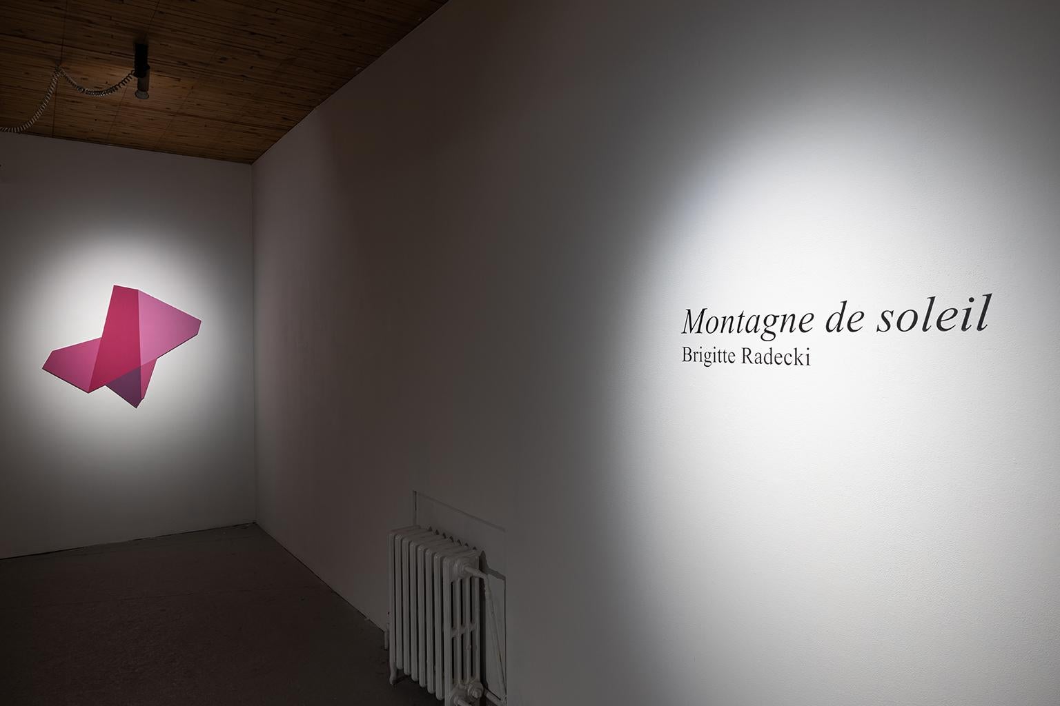 From the beginning of my practice, I have maintained a feminist perspective and a
questioning of modernism. Conceptual queries and artistic explorations have taken
several aesthetic and formal paths, be it the environmental structures of the