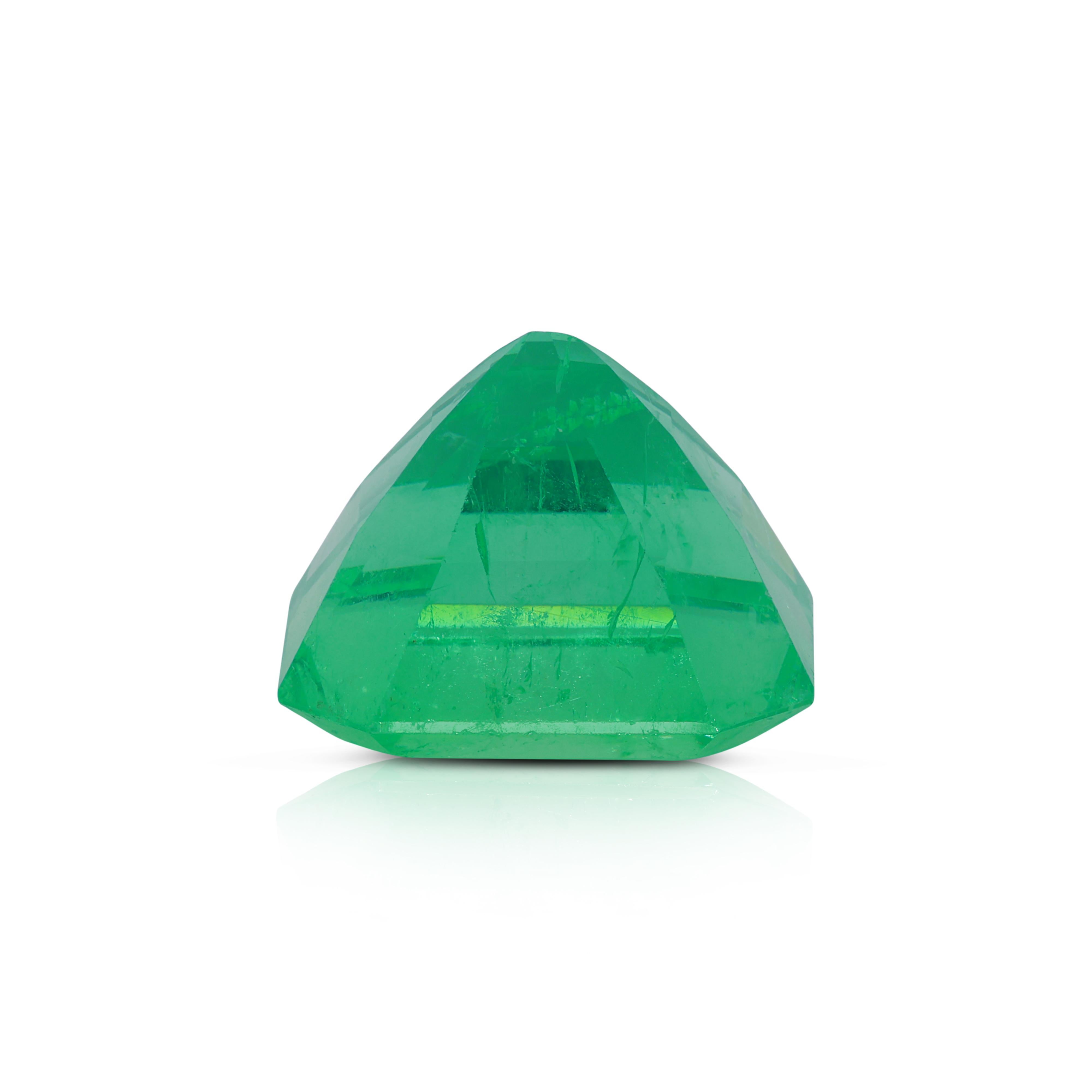 Brillant 22,28ct Smaragd Edelstein im Angebot 2