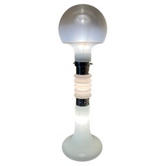 Lampade da terra