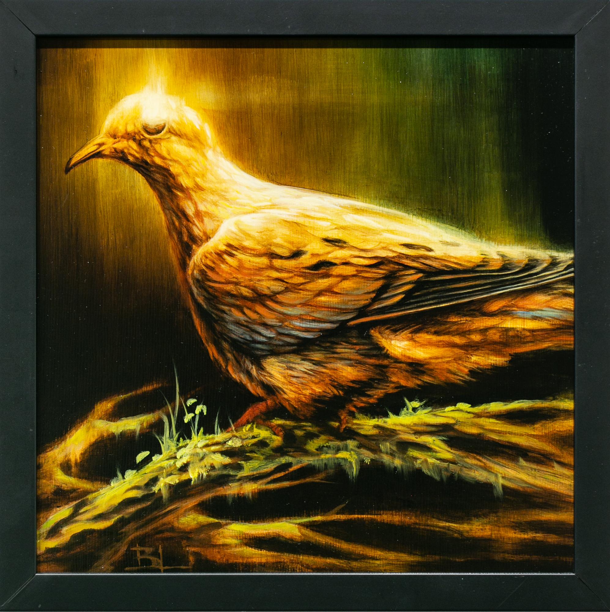 Brin Levinson Figurative Painting - "Rain Dove", Figurative Oil Painting, Bird, Animal, Nature