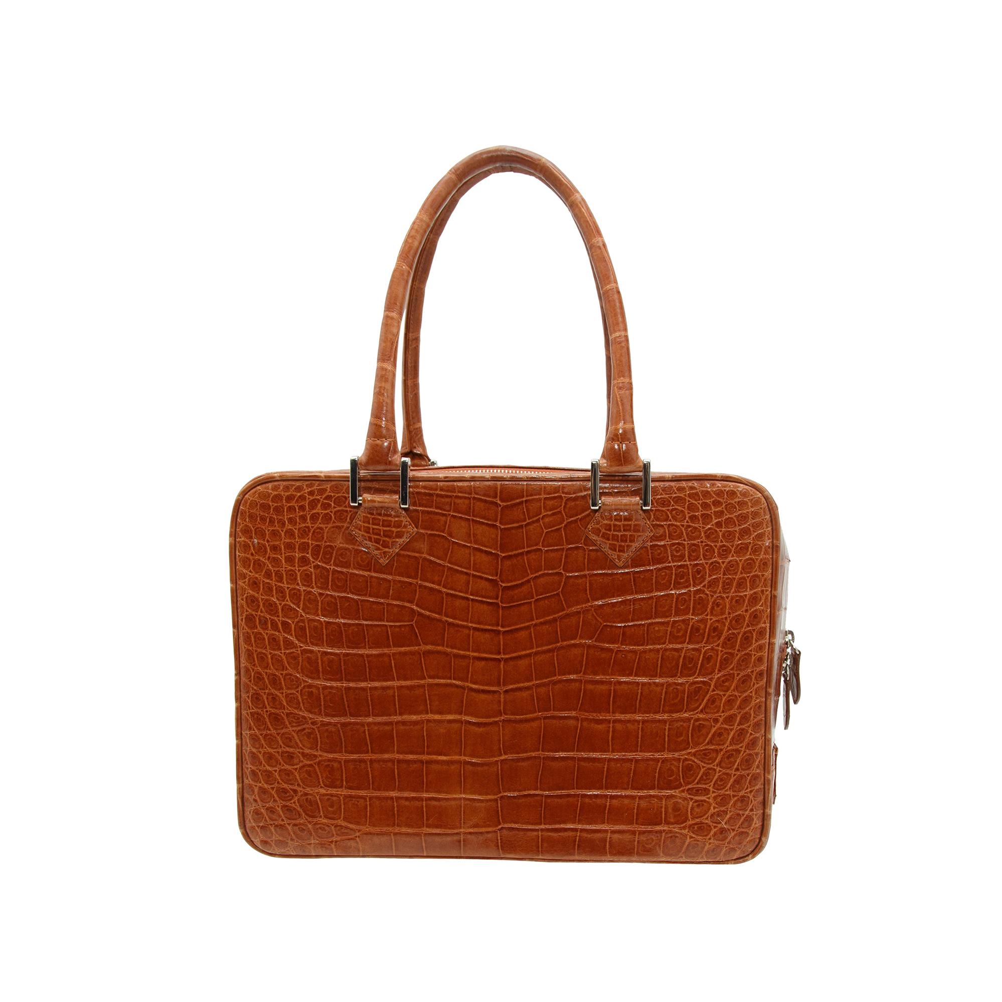 Brioni Brown Alligator Square Handbag