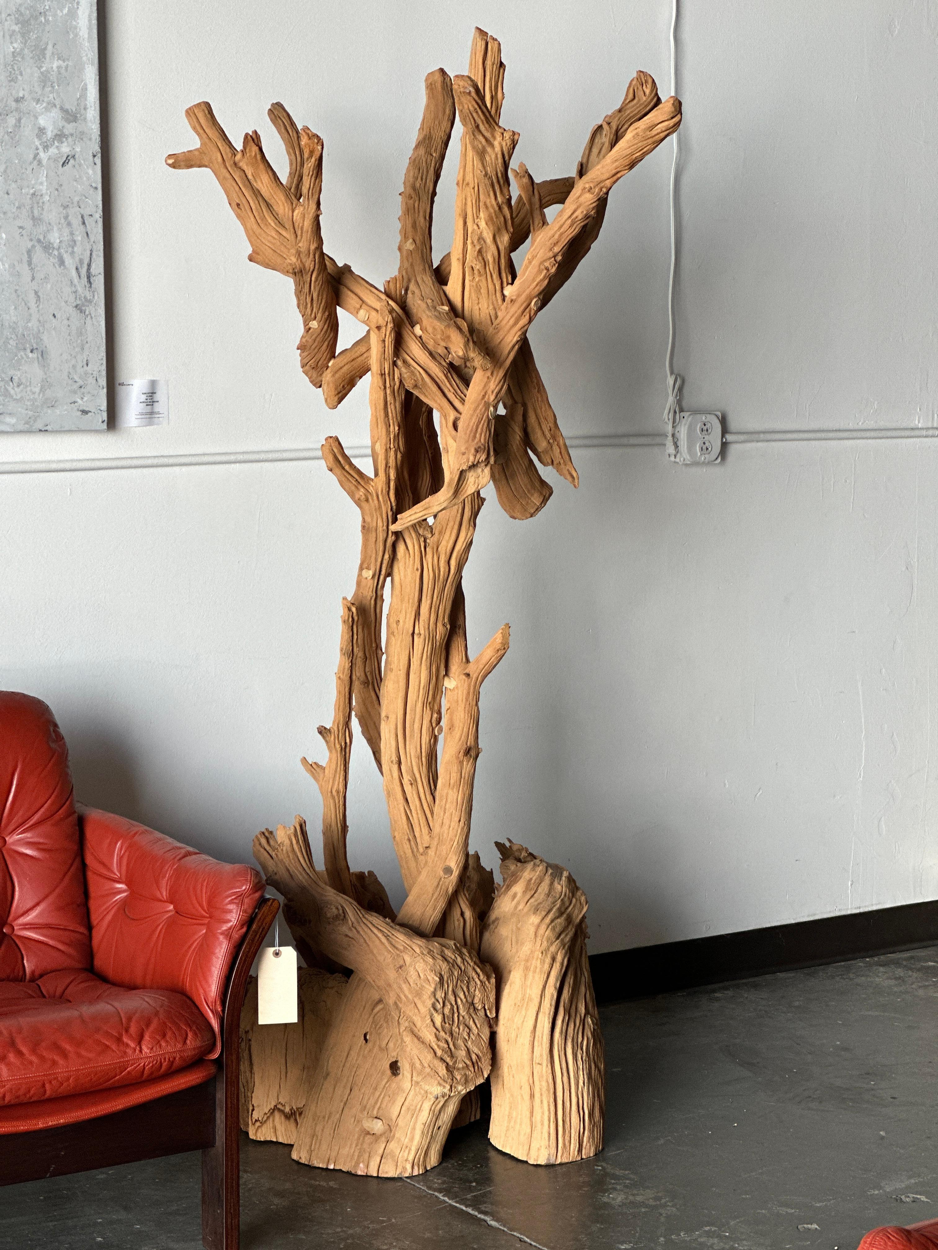 Sculpture en pin de Bristlecone réalisée par David Spiesman en 2000 - signée. Le bois utilisé pour cette sculpture a été récolté avec l'autorisation d'une forêt qui meurt en 1933. La sculpture est maintenue avec art par des chevilles qui sont
