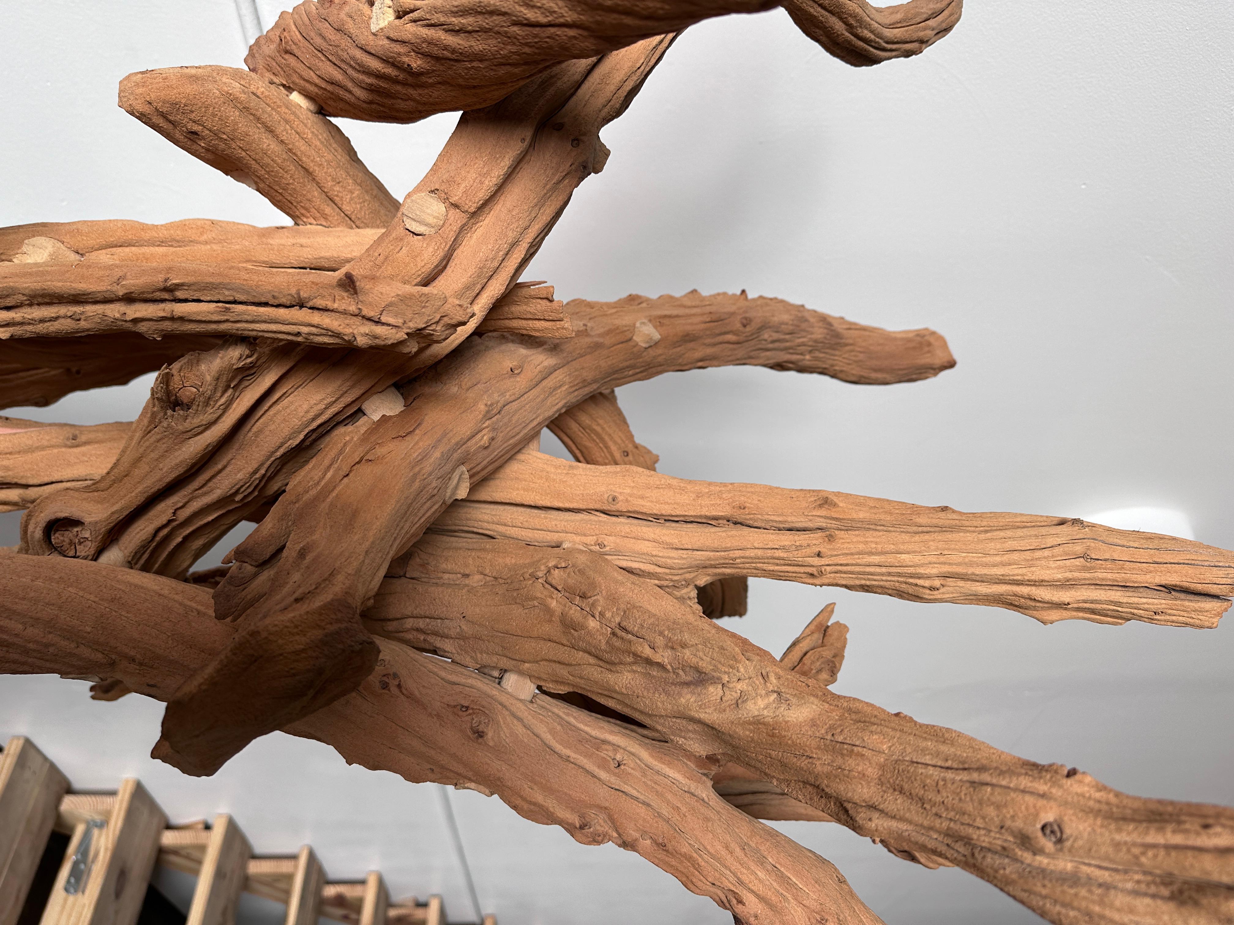 American Bristlecone Pine Sculpture by David Spiesman, 2000 For Sale