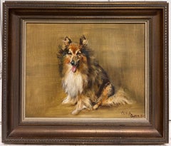 Portrait of a Collie Dog Signed & Dated British Oil Painting 1980's