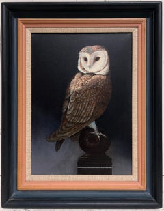 Portrait of an Owl Beautiful Original British Oil Painting on Canvas framed