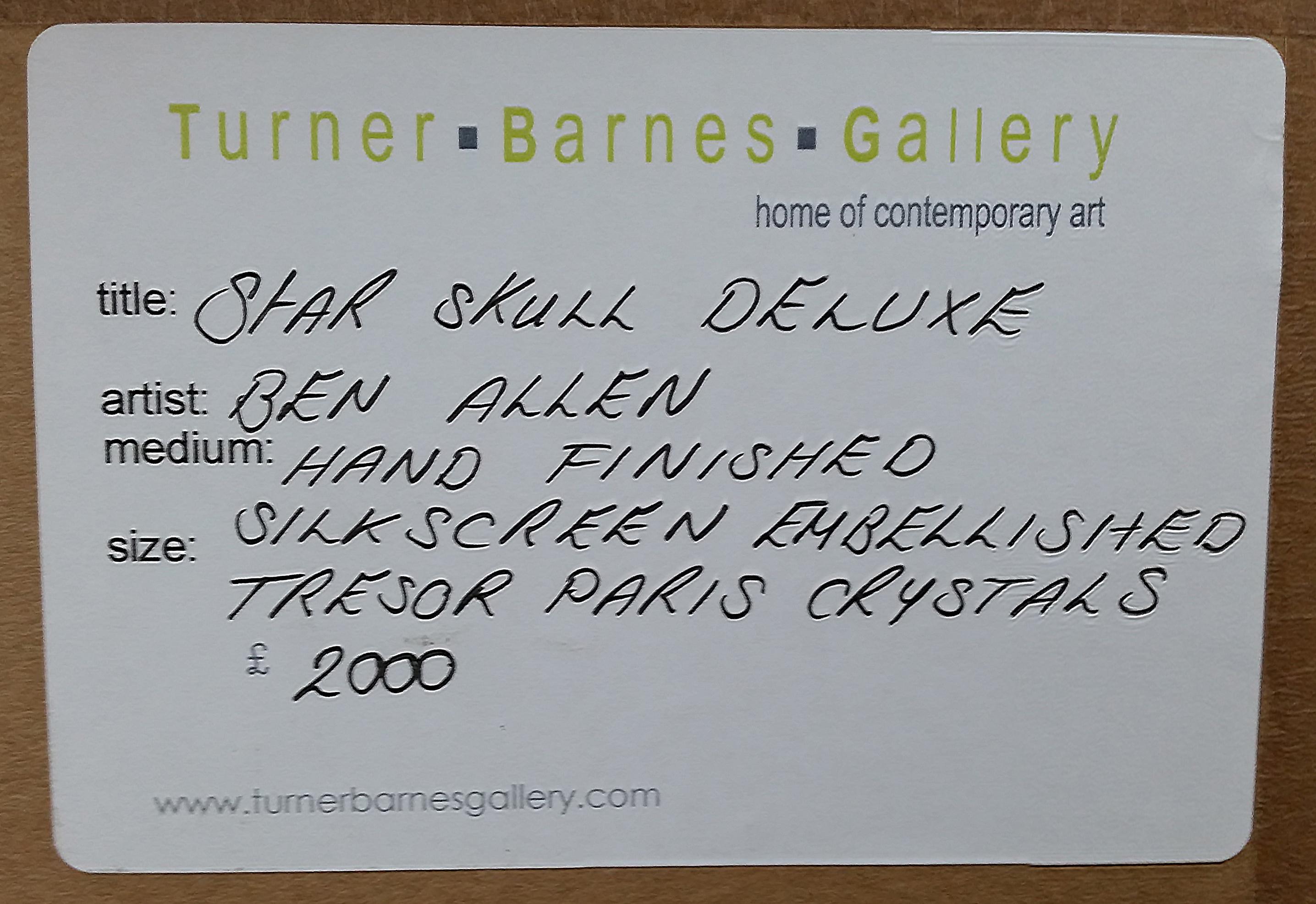 British Artist Ben Allen Tresor Silkscreen Limited Edition Star Skull Jewel Stud 2
