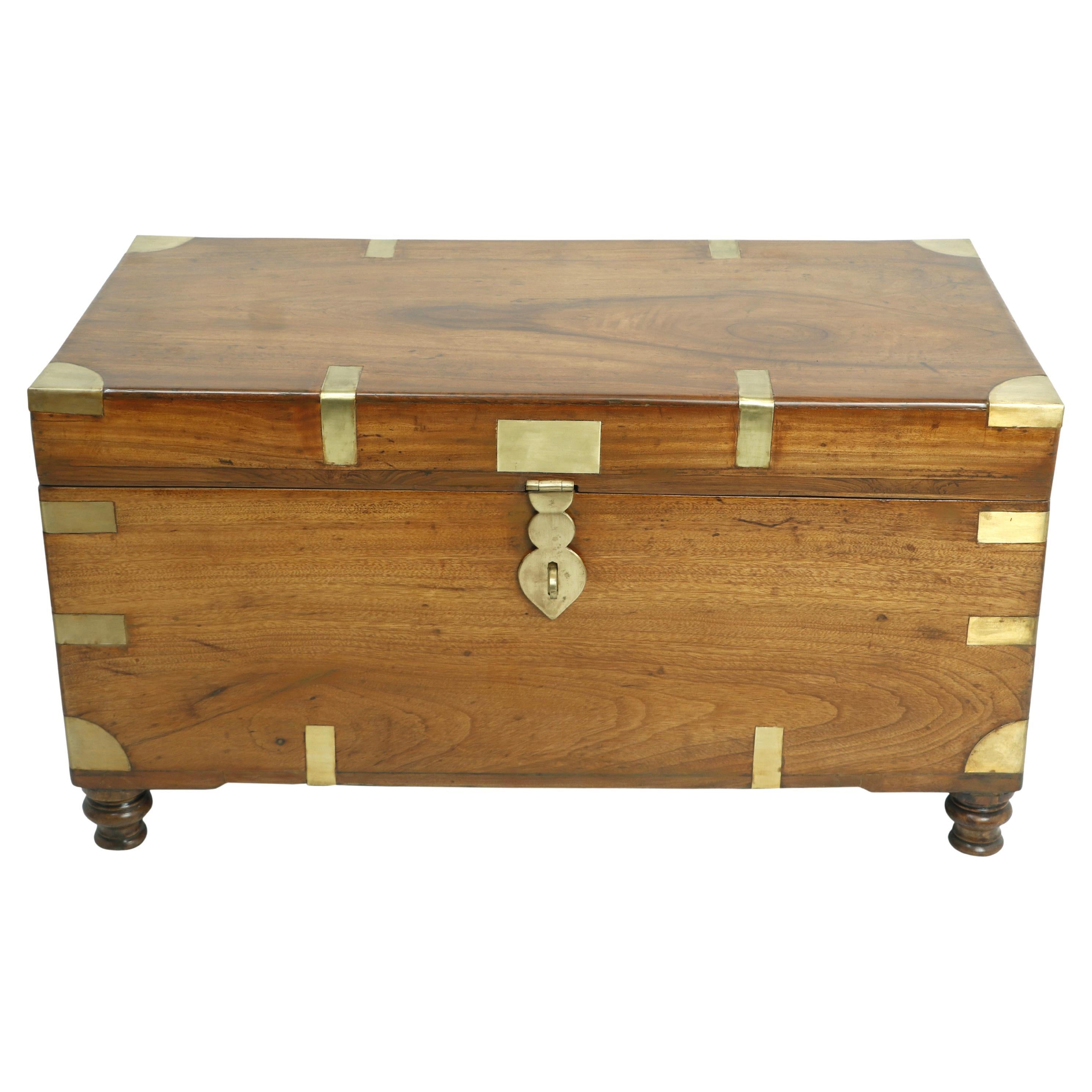 Coffre de mer, malle ou table basse en bois camphré de campagne britannique, début 1900