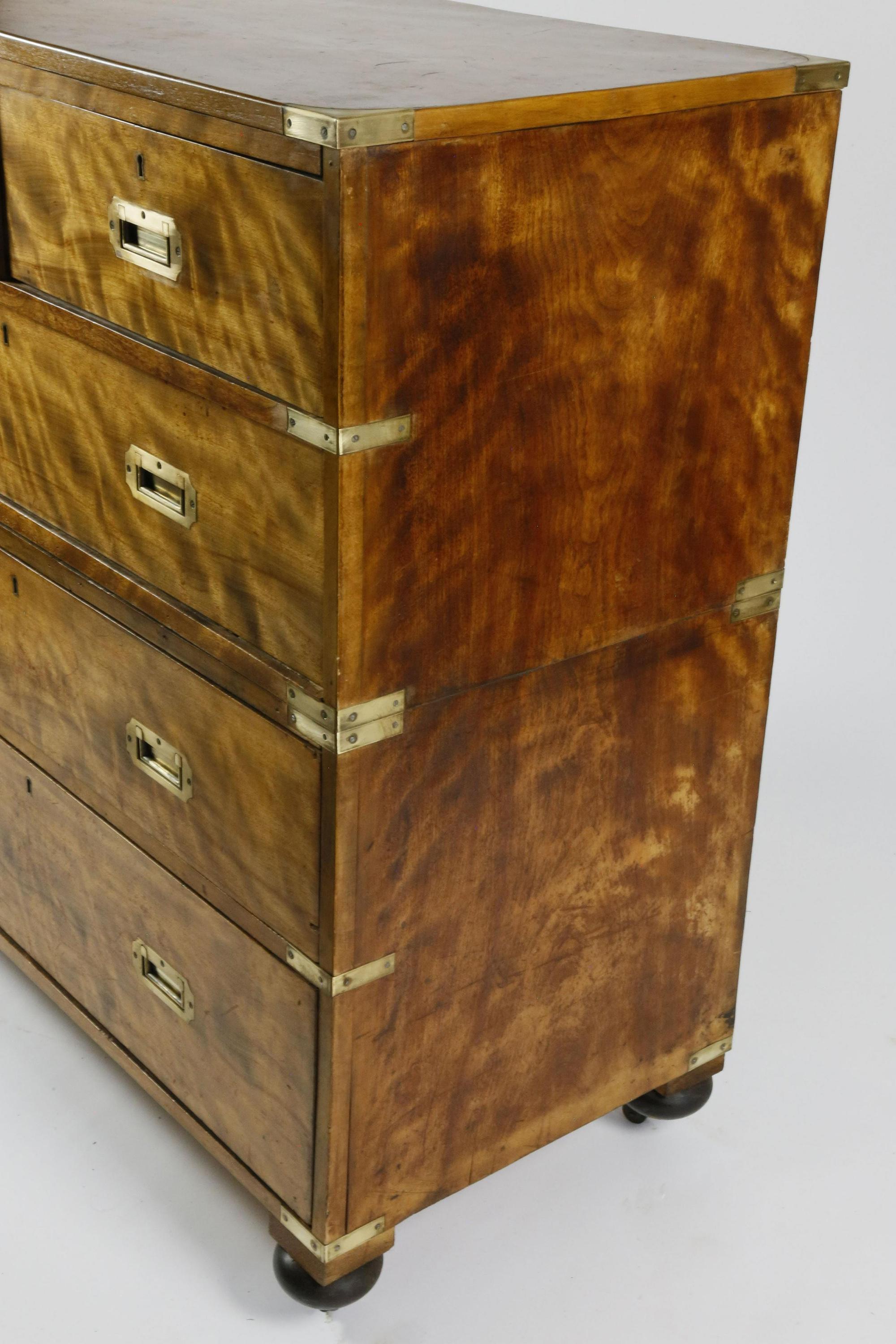 English British Campaign Chest of Drawers in Flame Birch