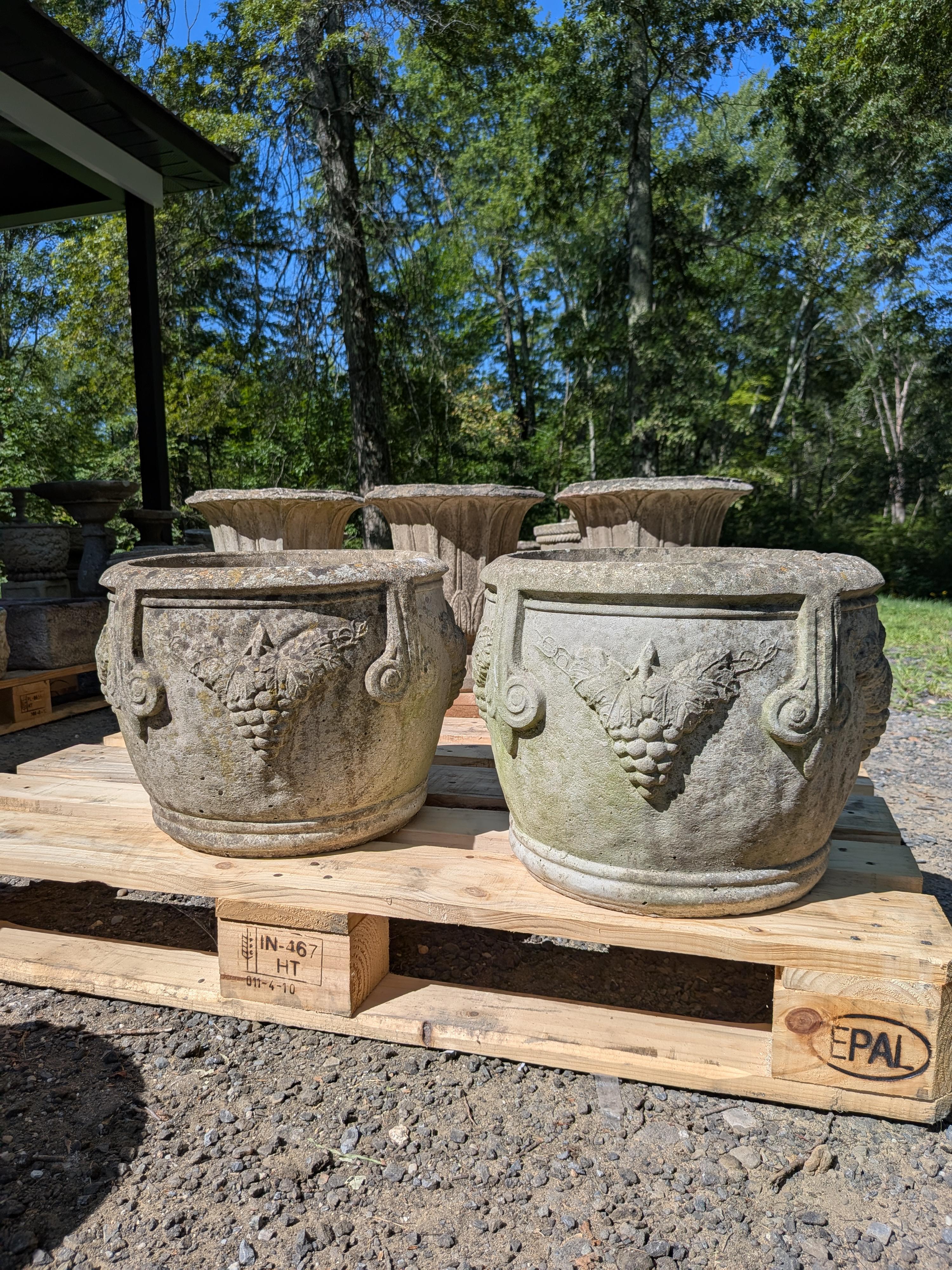 Coppia di autentici vasi da giardino / fioriere / contenitori / jardinieres vintage / antichi britannici.

**IL PREZZO SI INTENDE PER FIORIERA**

Dimensioni:
Diametro esterno di 16 pollici
Diametro interno 12,5