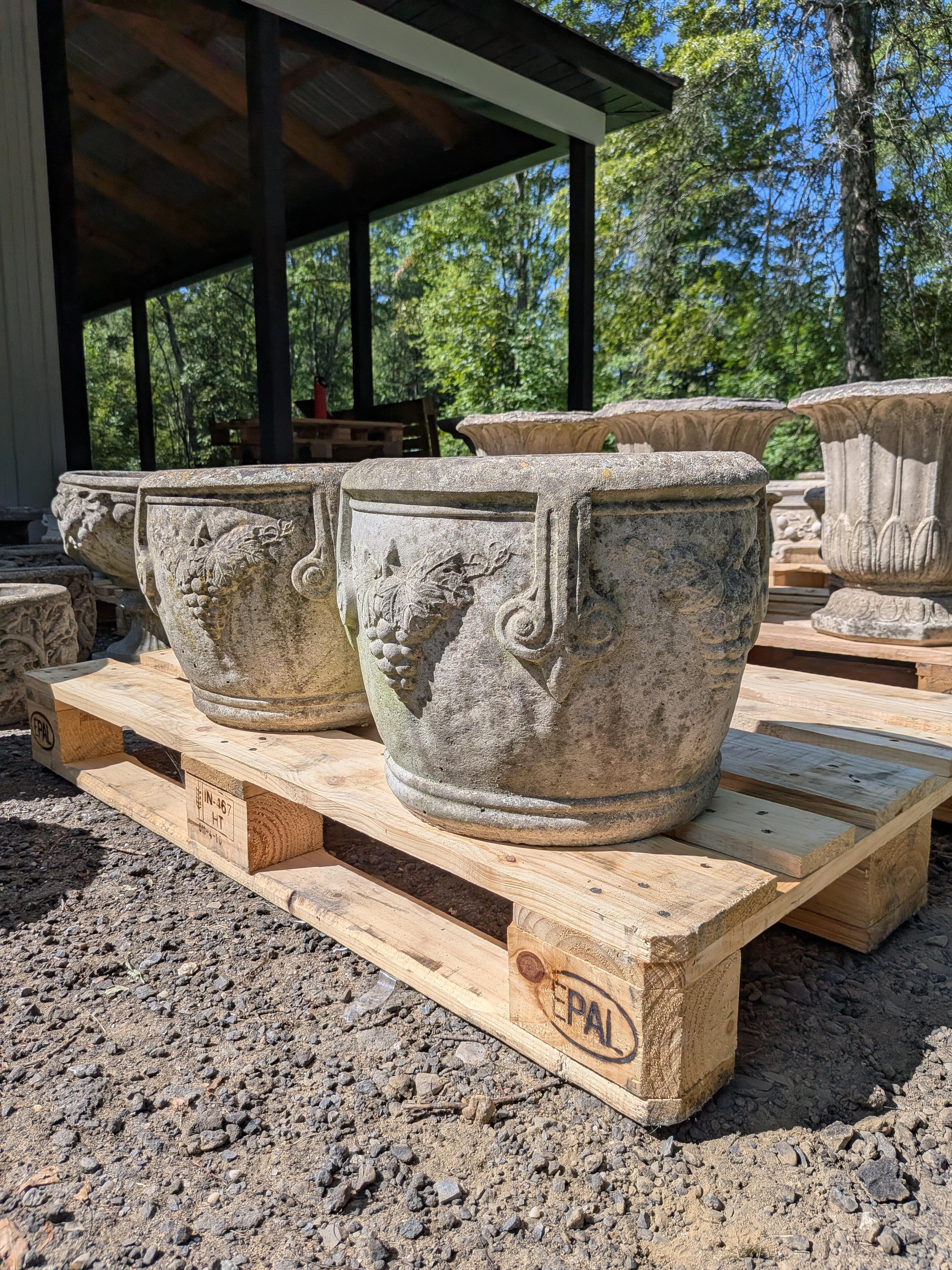 Britannico Fioriere in pietra fusa britanniche / Jardinieres in vendita