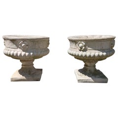 Britische Pflanzgefäße aus Gussstein / Jardinieres