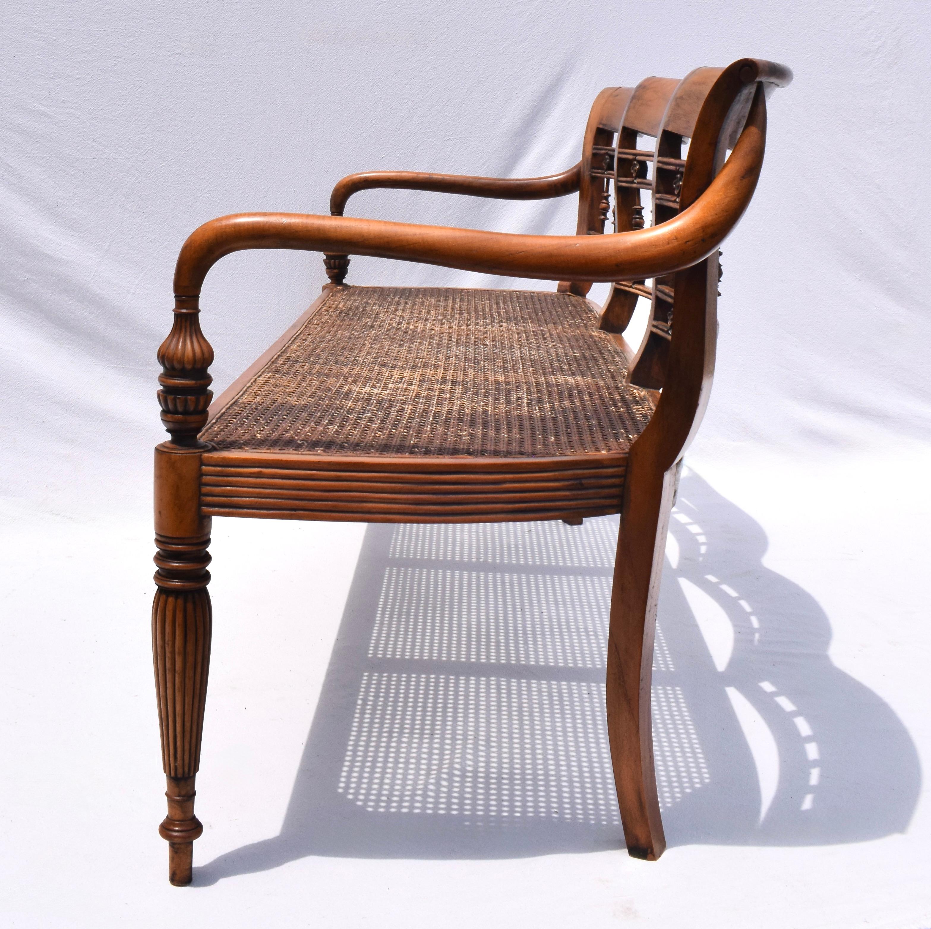 Panchina in olmo e canna doppia in stile British Colonial in vendita 1