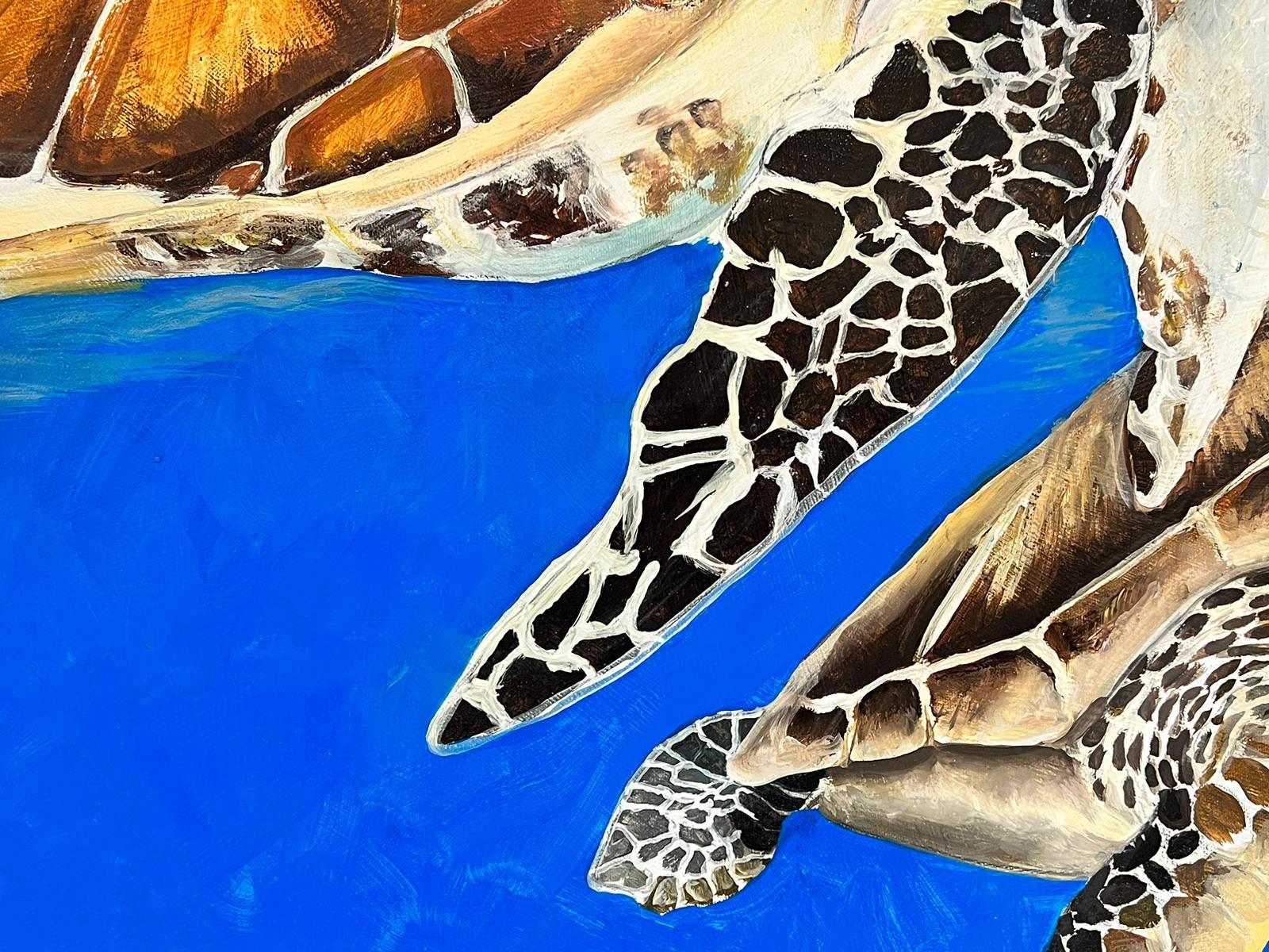''Sea Turtles