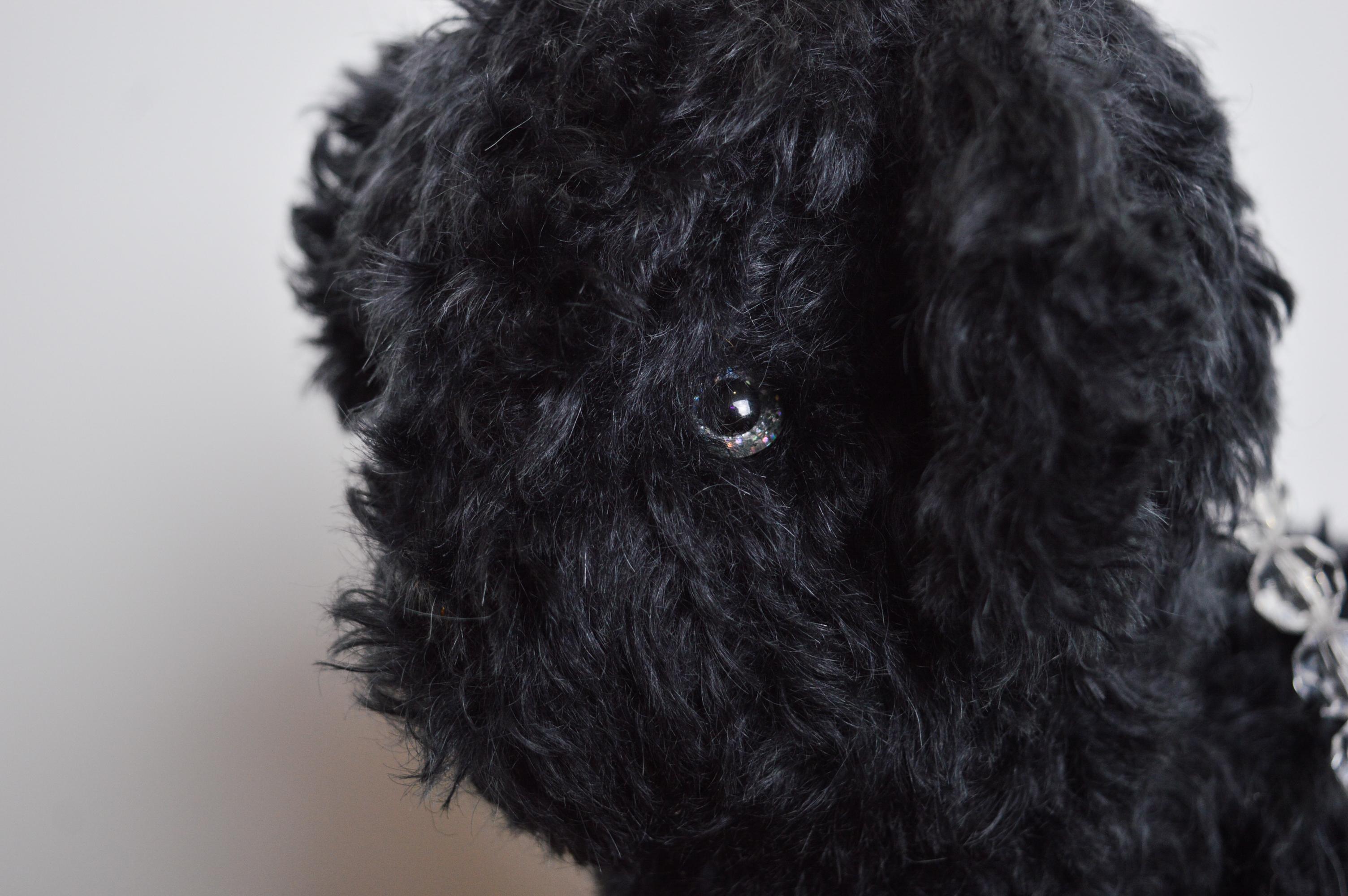 British Designer Ashley Williams 'Claudia' Mohair Novelty Teddy Dog Mini Bag For Sale 2
