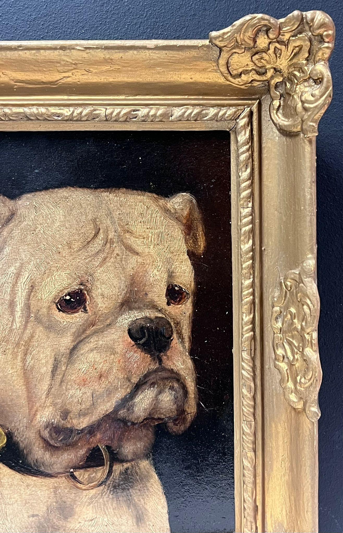Antique British Bull Dog Ritratto ad olio di bulldog in cornice dorata - Painting Scuola inglese di British Dog Artist