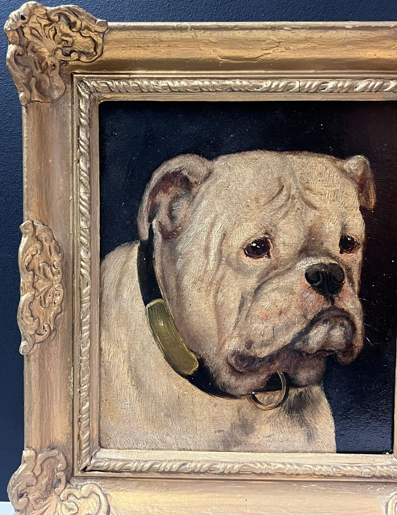 Antique British Bull Dog Ritratto ad olio di bulldog in cornice dorata - Animal Painting Marrone di British Dog Artist