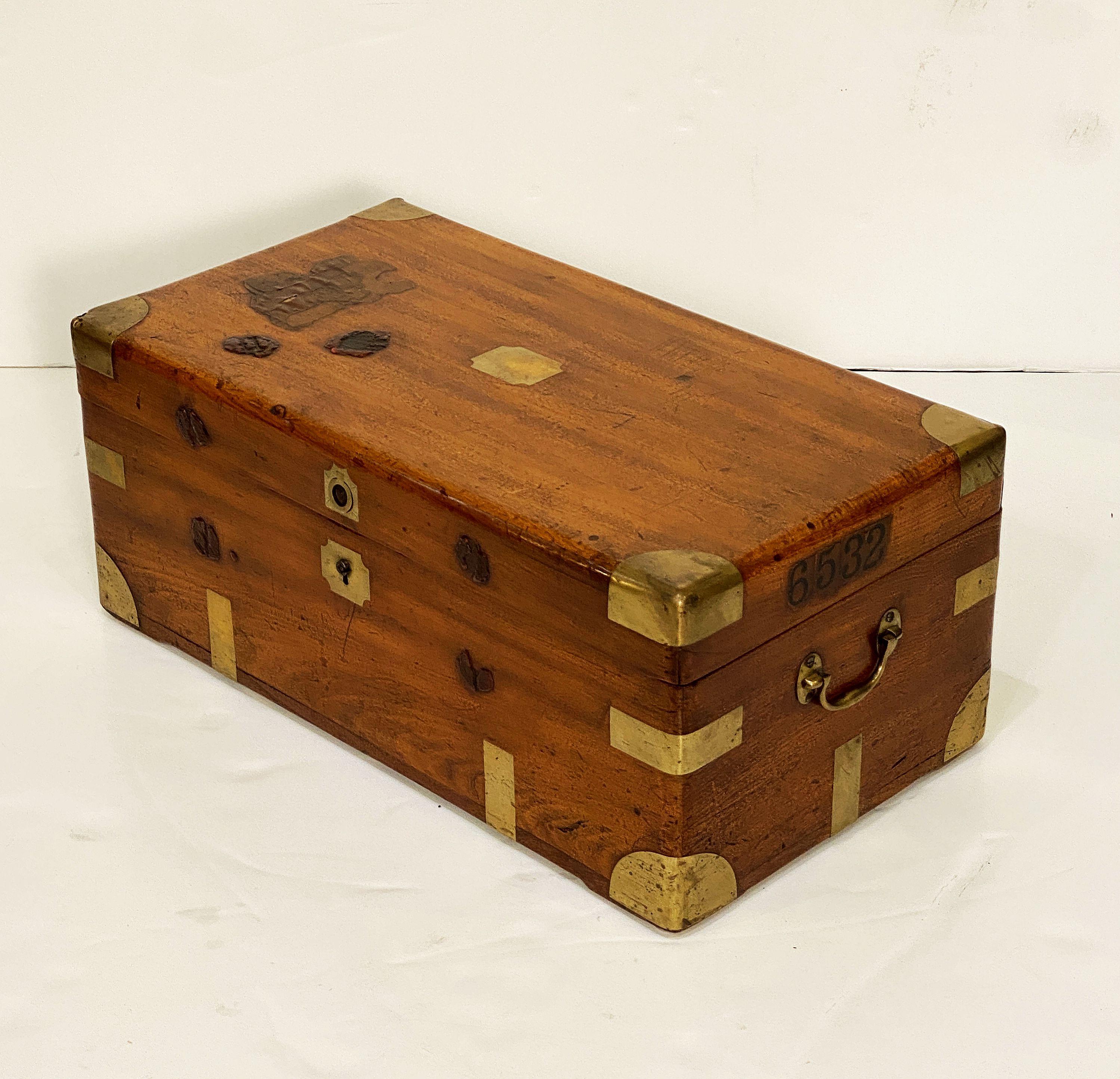 English British Military Officer's Campaign Trunk of Brass-Bound Camphor For Sale