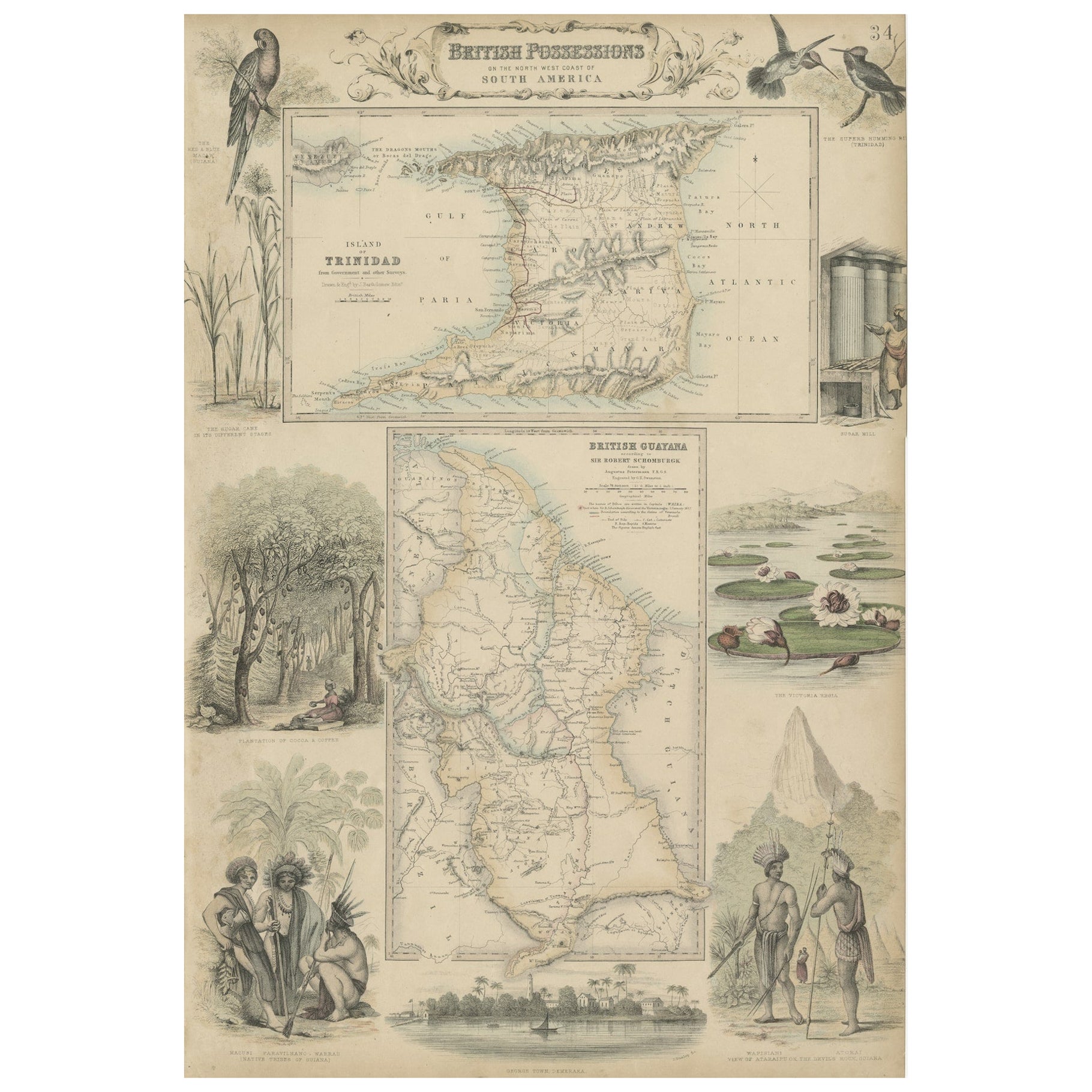 Posesiones británicas en la costa noroeste de Sudamérica, 1860 en venta