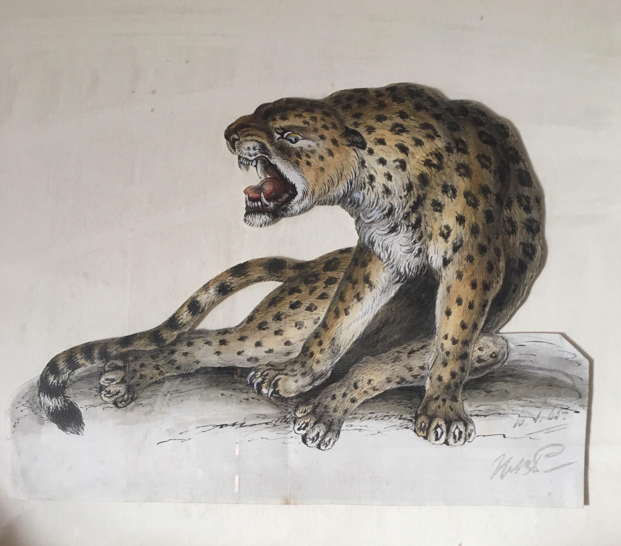 cheetah watercolour