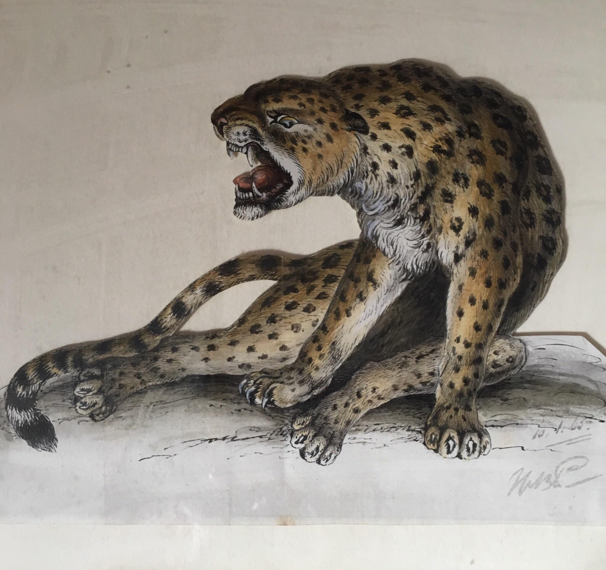 Unknown Animal Painting - Cheetah Antique Watercolour, British Artist, Original Painting