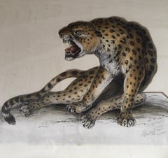 Cheetah Antique Watercolour, British Artist, Original Painting