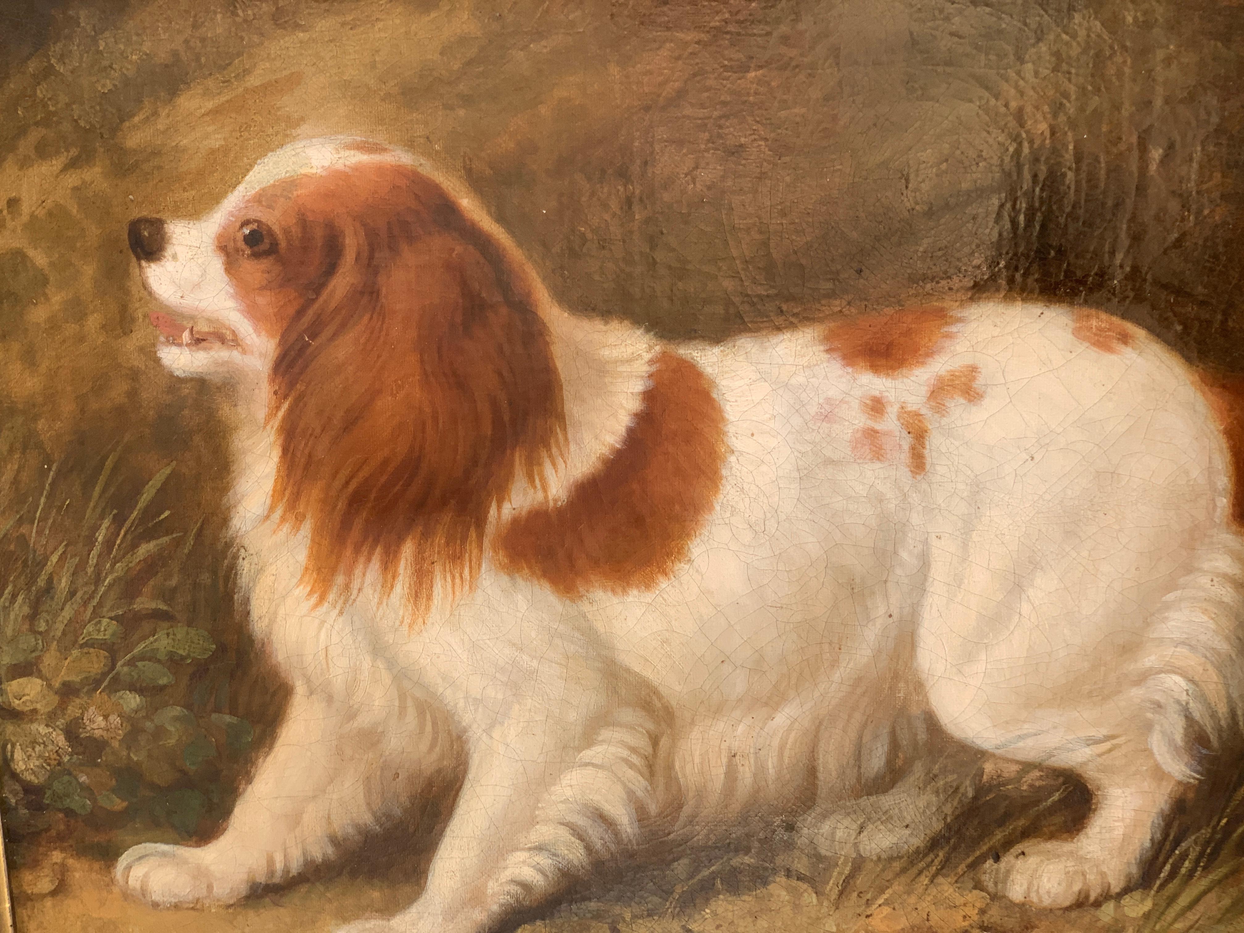 Early Victorian English Folk art portrait of a Spaniel dog or puppy - Painting by Unknown