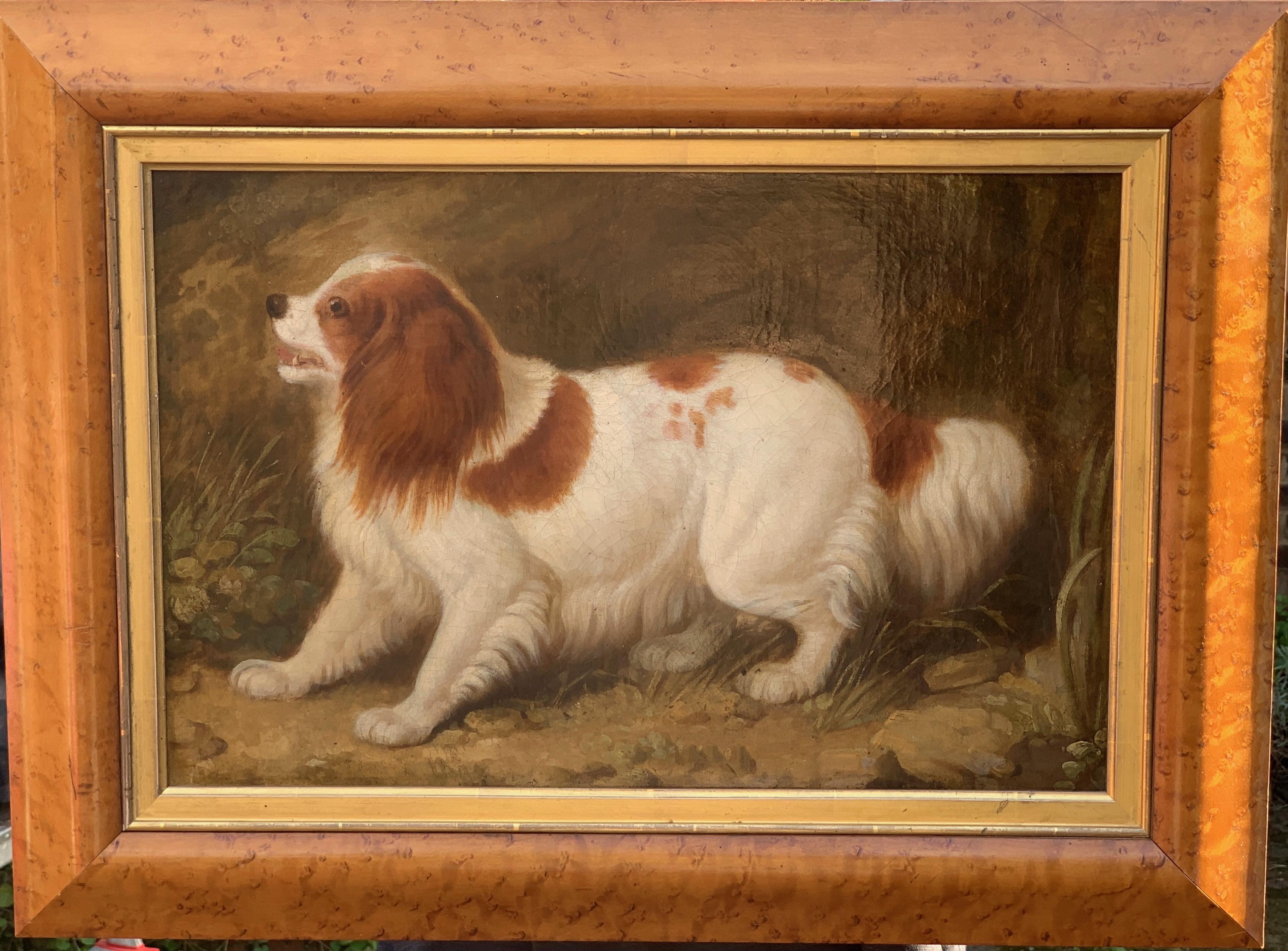 Unknown Animal Painting - Early Victorian English Folk art portrait of a Spaniel dog or puppy