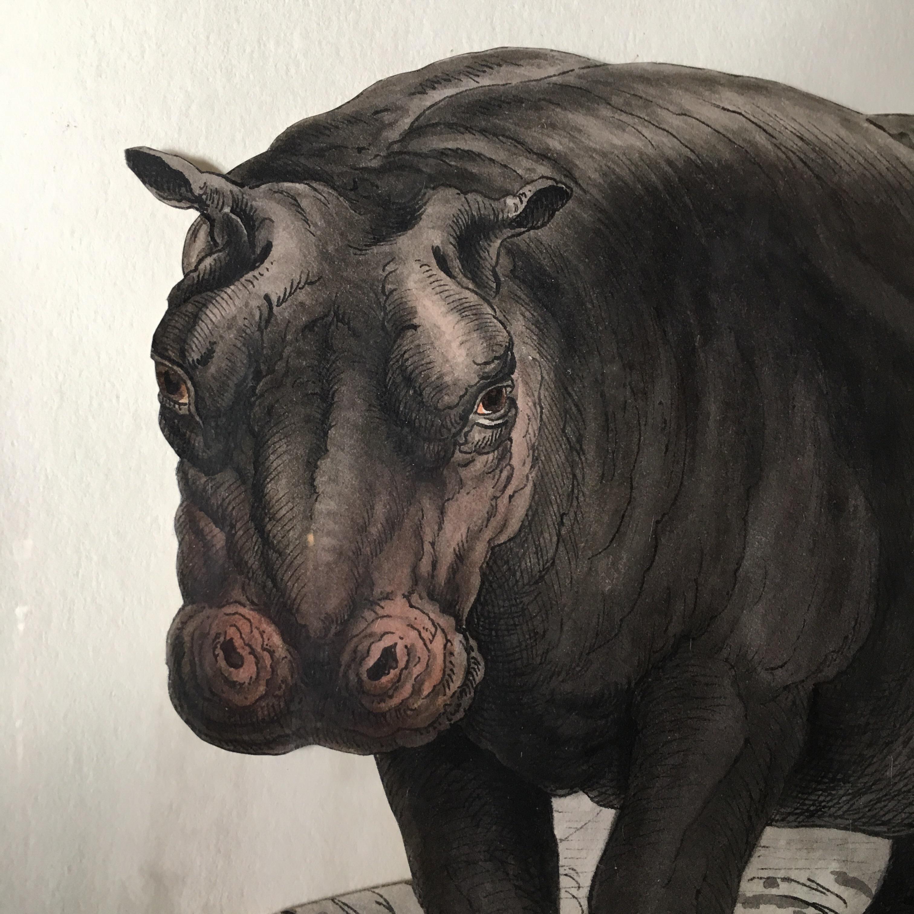 hippo painting art