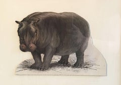 Hippo Antique Watercolour, British Artist, Original Painting