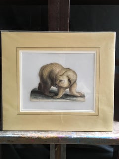 Polar Bear Antique Watercolour, British Artist, Original Painting