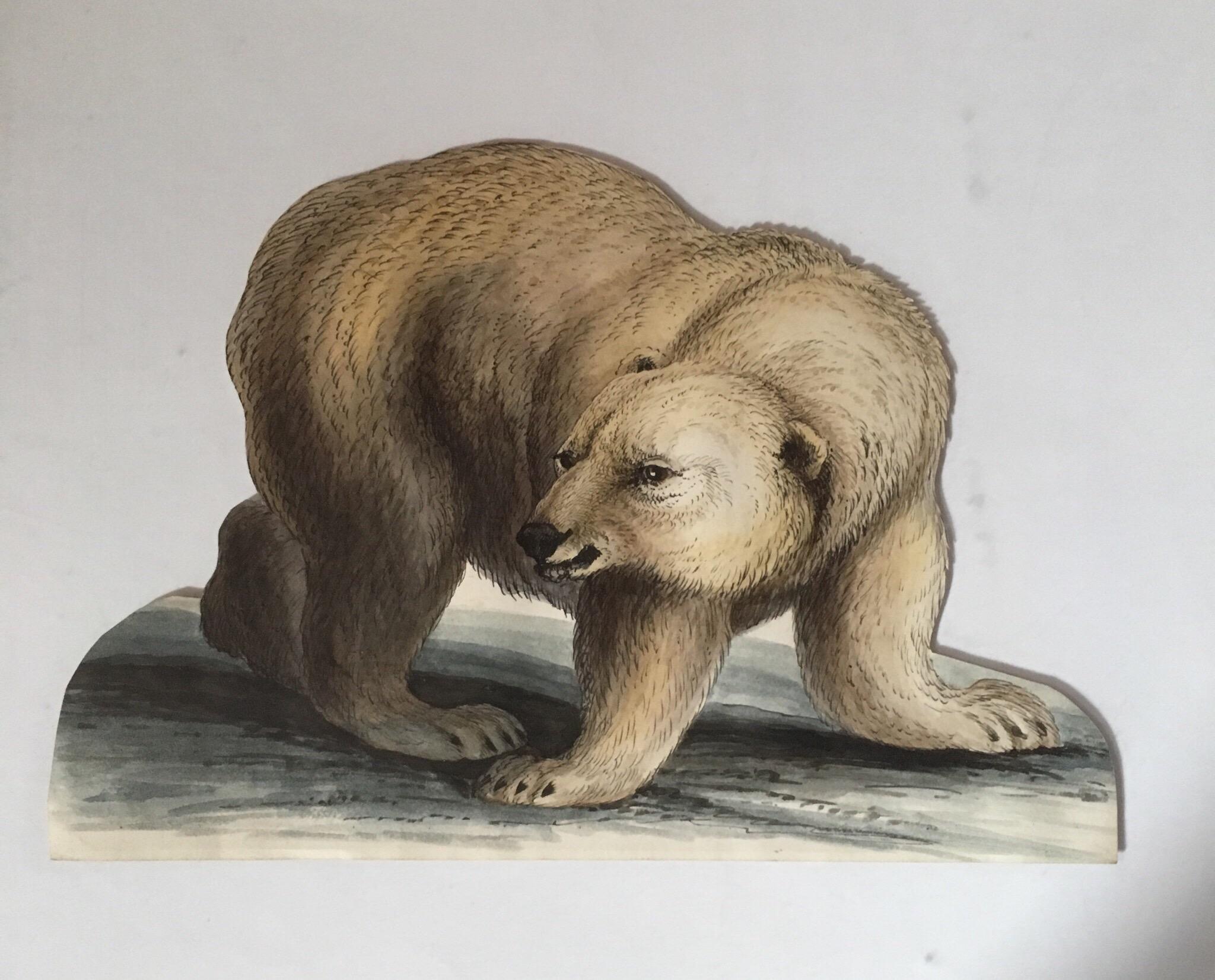 Polar Bear Antique Watercolour, British Artist, Original Painting