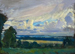 Beyond the Fields