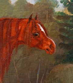 Chestnut Stallion at Rest, British School 19th century